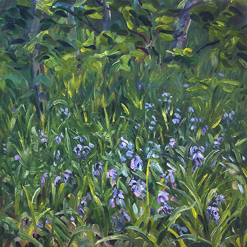 Bluebells on a bank by Stuart Nurse