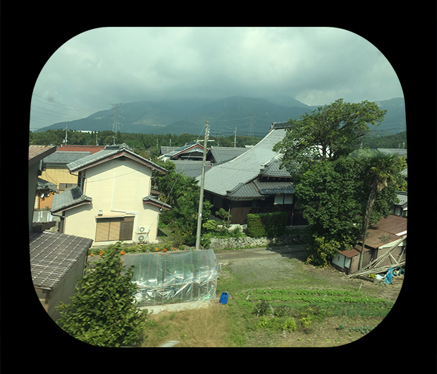 View from the Shinkansen 11