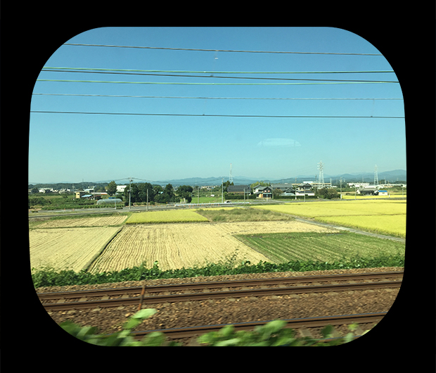 View from the Shinkansen 27