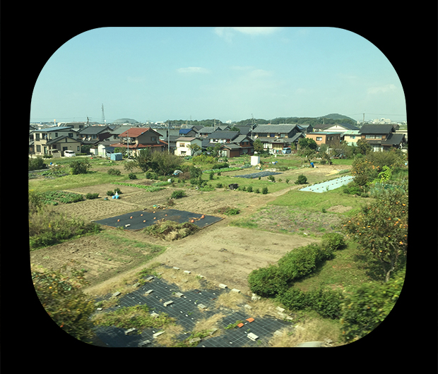 View from the Shinkansen 9