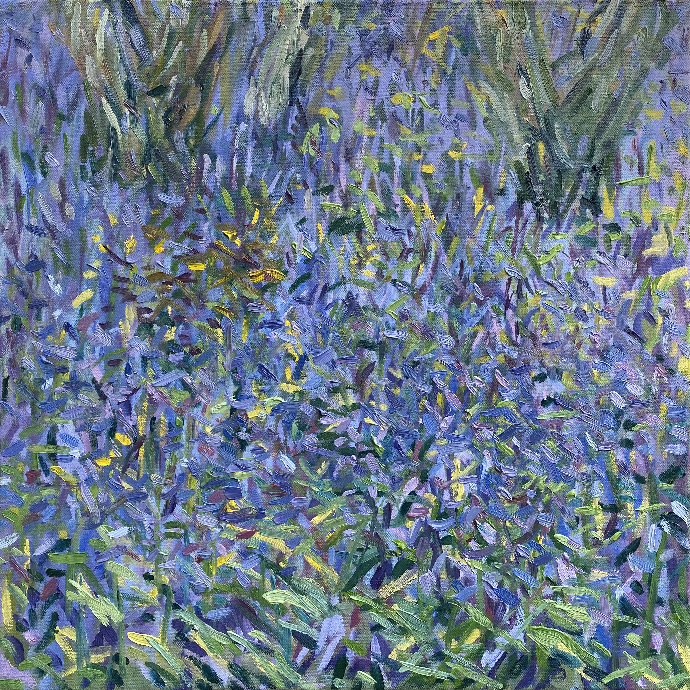 This years Bluebells, Priors Wood, April 2022 by Stuart Nurse