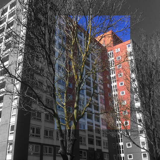 Trees Before Buildings 9